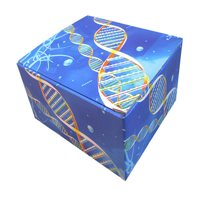 Un buon prezzo. Inverso ondulato a parete semplice economico su ordinazione Tuck End Boxes Printing in linea